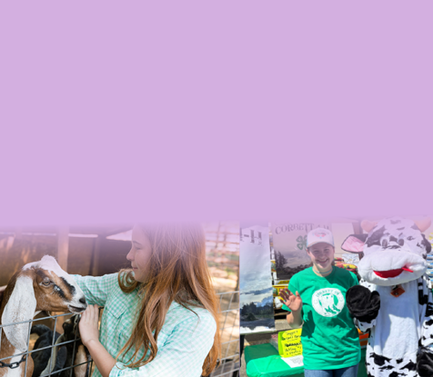 Agriculture Image