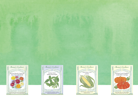 We have garden seeds!