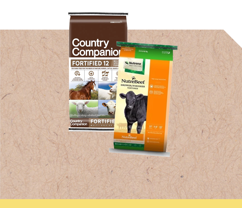 Cattle Feed