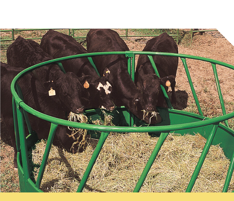 Feeders & Troughs