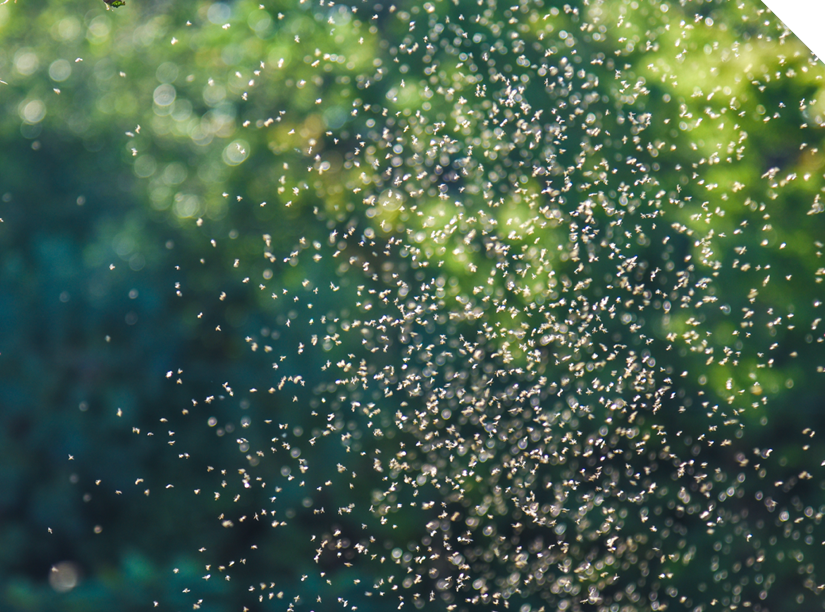 Lawn & Garden Control